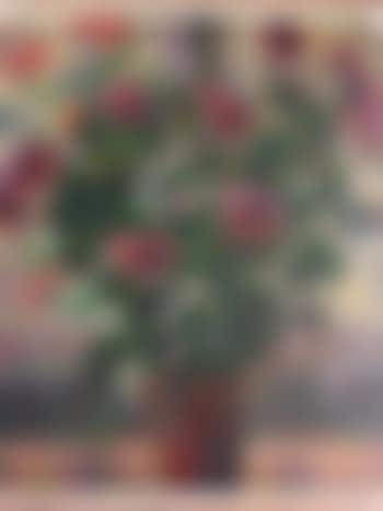 Pot de fleurs ,
1905 (preview)