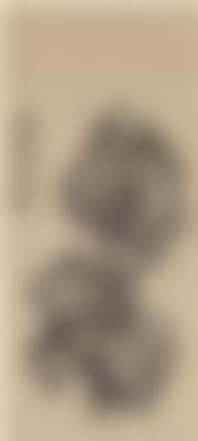 Grotesque rock ,
1890 (preview)