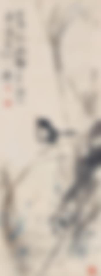 A bird , (preview)