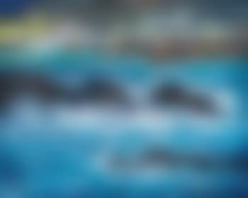 Seting sail , (preview)