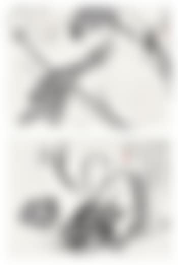 Narcissus and lotus , (preview)