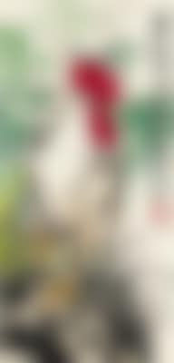 Rooster , (preview)