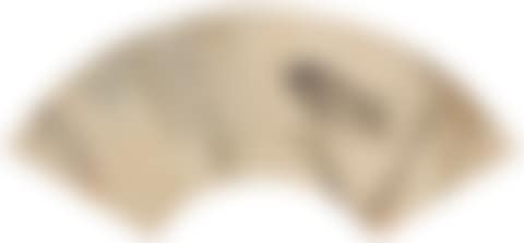 Bird (preview)
