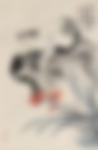 Cat and Tiger Lily (preview)