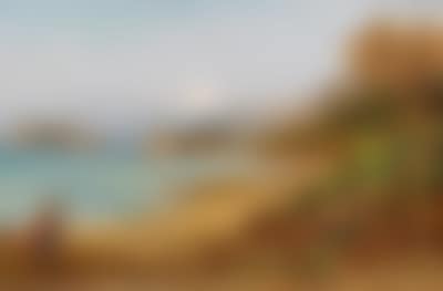 Pilgrim on Route to Mount Fuji (preview)