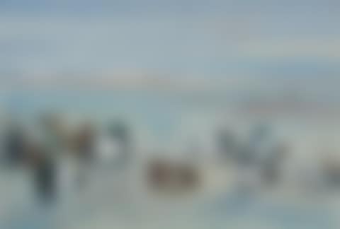 Scaup, Golden Eye and Smew (preview)
