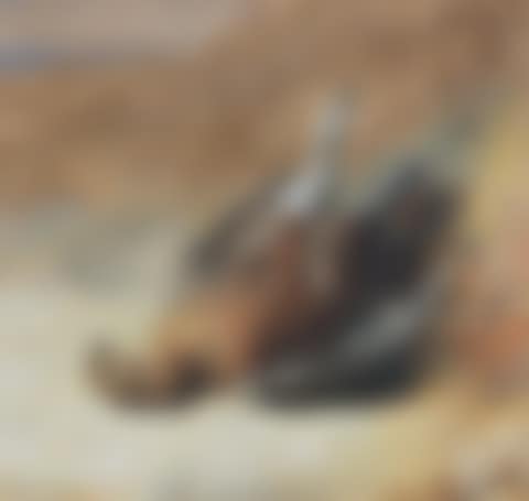 Study of a grouse (preview)