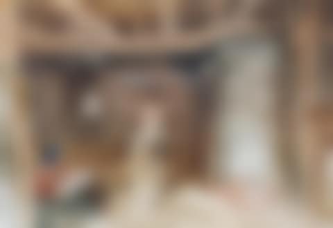 A Rustic Venus, Devon (preview)