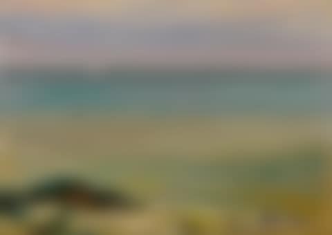 THE LITTLE WHITE SHIP (preview)