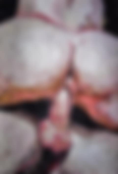 EROTICA 8 (PICTURES OF SILLY PUTTY) (preview)