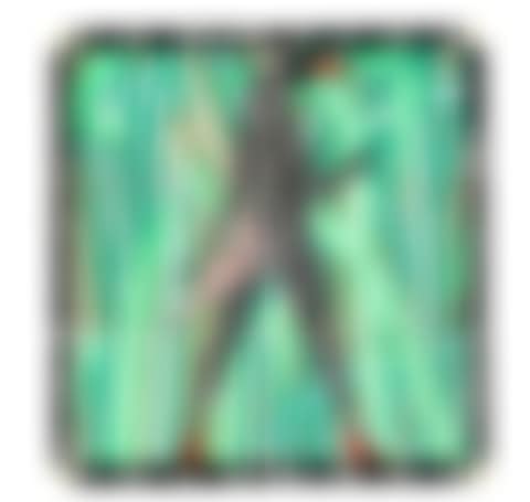 Fire Bird (preview)