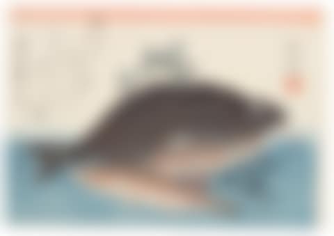 Large Fish: Striped Sea Bream, Rock-trout and Nandina, and Mackerel, Crab and Morning Glory (preview)