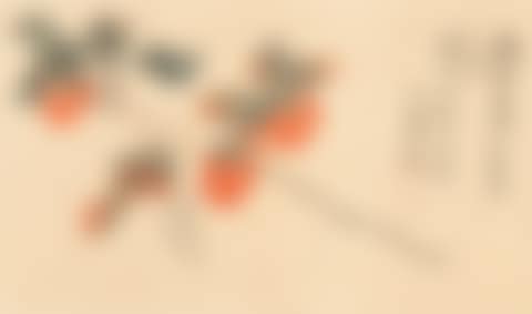 PERSIMMONS (preview)