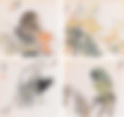 BIRDS, FLOWERS AND PEA PODS (preview)
