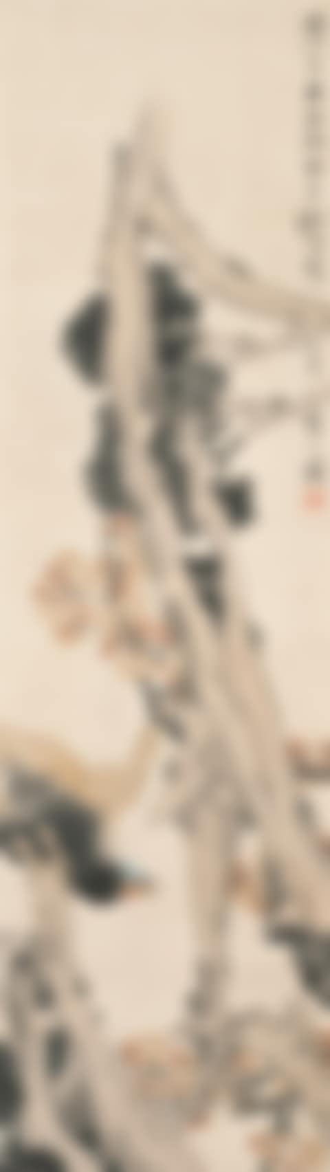 BIRDS ON CYPRESS (preview)