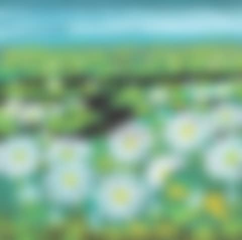 LOTUS (preview)