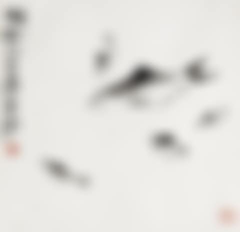 FIVE FISH (preview)