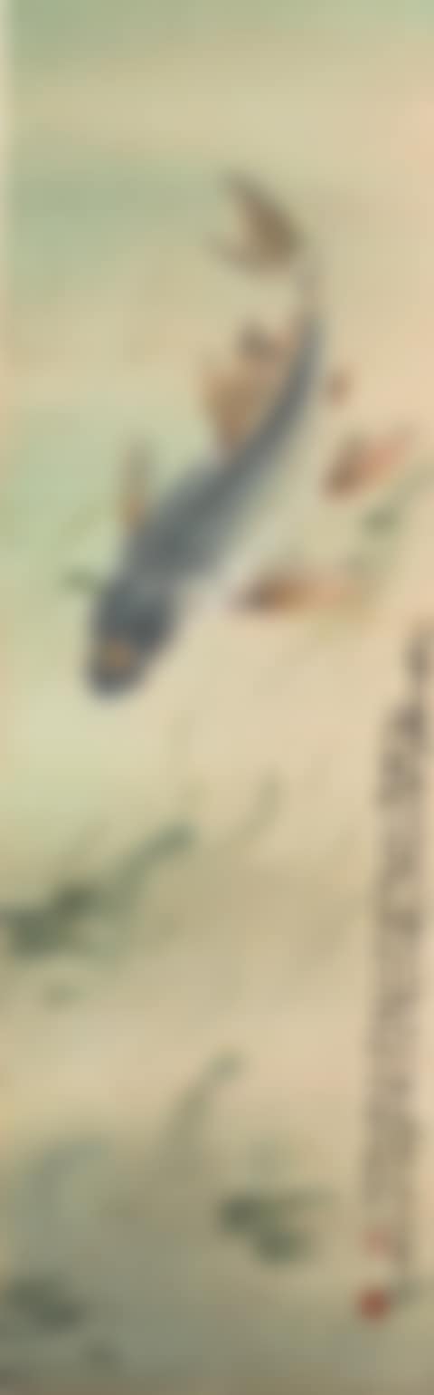 CARP IN GREEN POND (preview)