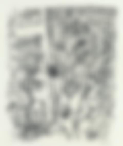 Blutiger Karneval (preview)