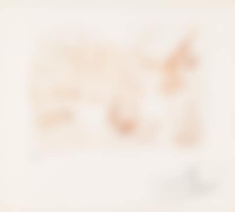 Rhinocéros (preview)