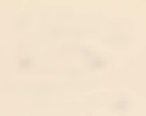 Poisson Fumé (preview)