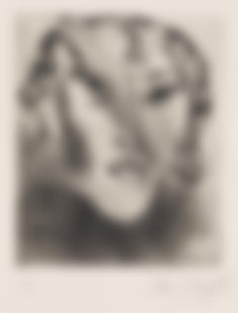 Autoportrait Bouche Maison (preview)