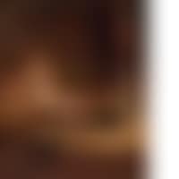 Feodora (preview)
