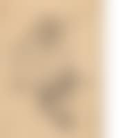 The satyr doll (preview)