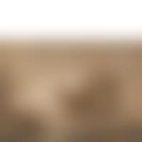 Mediterranean shoreline animated with characters (preview)