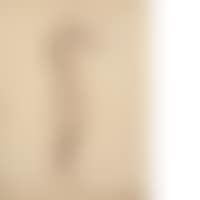 Female nude with raised arms (preview)