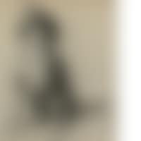 Study of dog (preview)