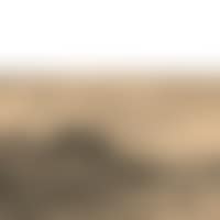 Landscape (preview)