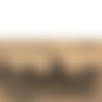 Landscape valley (preview)
