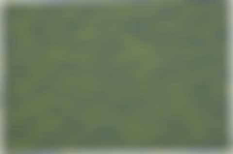 Horizontal Brushstrokes (More or Less) (preview)