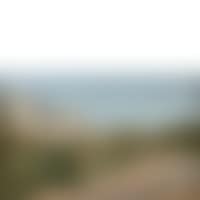 View of Capri (preview)