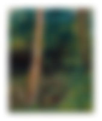 Un Sous-bois (preview)