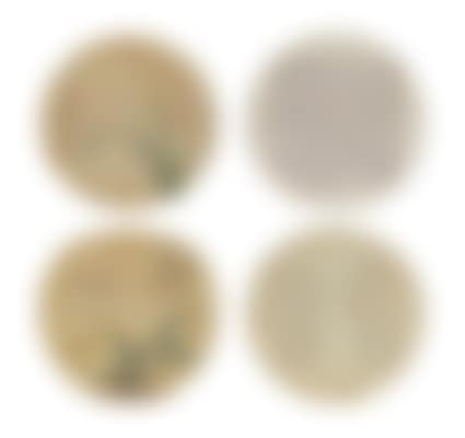 Various Subjects (preview)