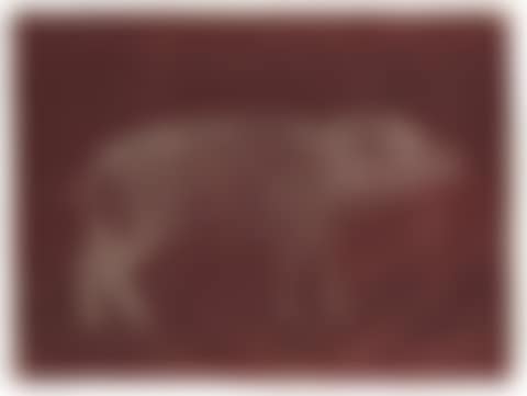 Pig (preview)
