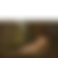 Diane at rest (preview)