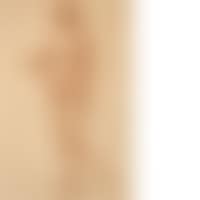 Naked woman (preview)