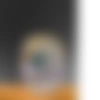 The Arc de Triomphe (preview)