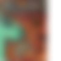 Conversation with the green donkey (preview)