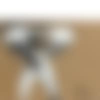 The shoes of Gala (preview)