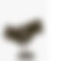 THE BIRDMAN (preview)