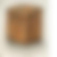 PORTRAIT OF COMPRESSION (preview)