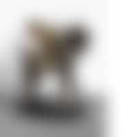 PERGAVIOL (preview)