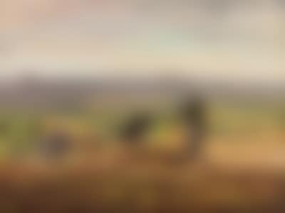 Potato Picking in Bohemian Paradise (preview)