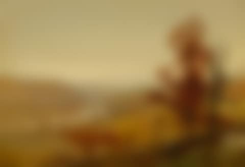 RIVER VALLEY LANDSCAPE (preview)