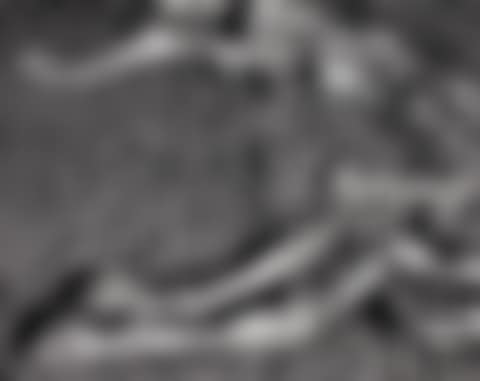 HORSE' (preview)
