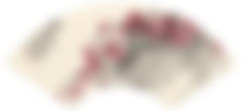 RED PLUM BLOSSOMS (preview)